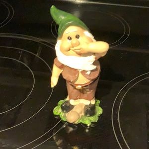 Little Gnome